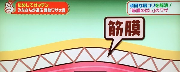 ためしてガッテン筋膜